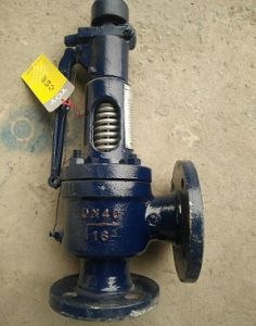 Van an toàn mặt bích